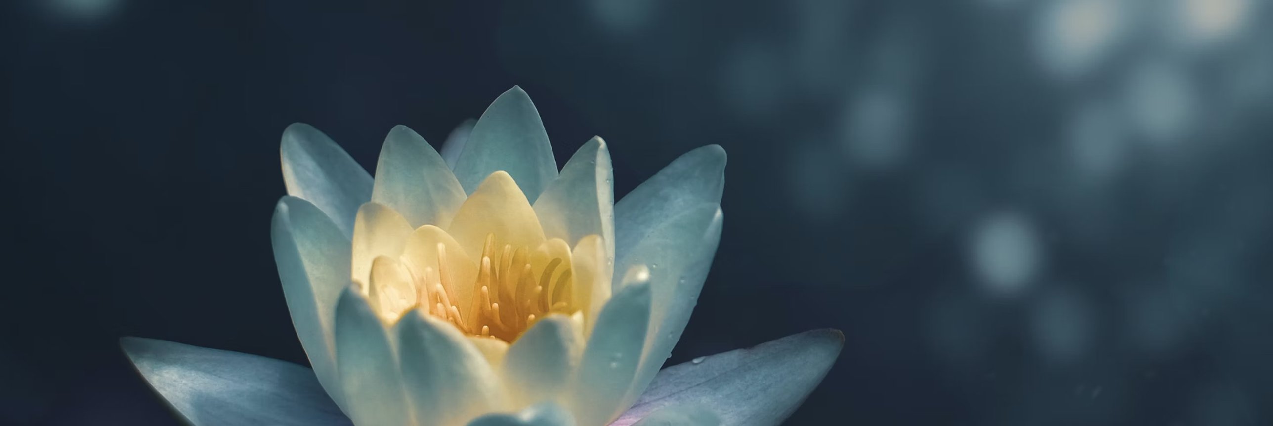 All Corè Essentials: Personal Development Programs
